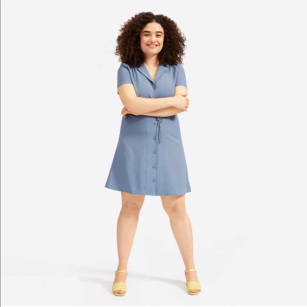 Everlane Japanese Goweave Notch Shirtdress Size 12